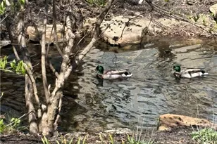 1377 Holes Creek Trace, Centerville, OH 45458 - Photo 12