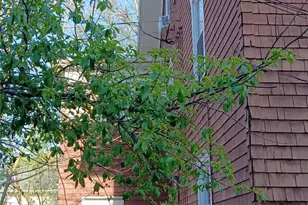 126 E Cassilly St, Springfield, OH 45504 - Photo 10