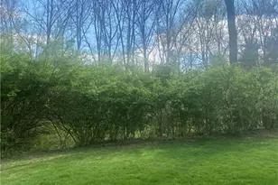 1065 Stewart Rd, Pleasant Hill, OH 45359 - Photo 4