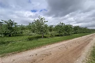 9319 Wesler Rd, New Paris, OH 45347 - Photo 84