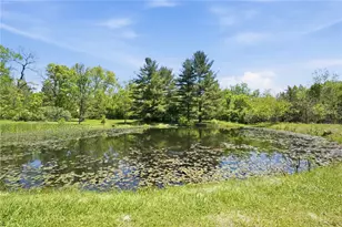 3620 Old Winchester Trail, Caesarcreek Twp, OH 45385 - Photo 46