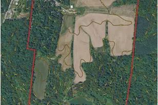8598 Deadfall Rd, Hillsboro, OH 45133 - Photo 4