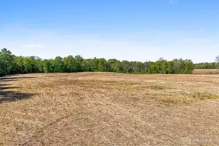 8598 Deadfall Rd, Hillsboro, OH 45133 - Photo 10