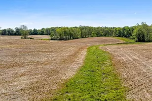 8598 Deadfall Rd, Hillsboro, OH 45133 - Photo 64