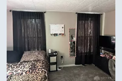 119 N Detroit Street, West Liberty, OH 43357 - Photo 10