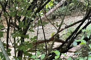 130 Rosewood Dr, Dayton, OH 45415 - Photo 44