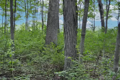 6521 Morrow Rossburg Road, Morrow, OH 45152 - Photo 10