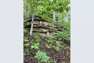 16200 US 52, Manchester, OH 45144 - Photo 16