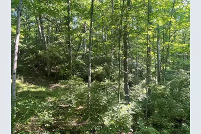 0 Stephen Young Rd., Camden, OH 45311 - Photo 8