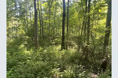 0 Stephen Young Rd., Camden, OH 45311 - Photo 14