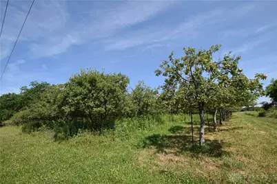 000 Millerstown Road, Urbana, OH 43078 - Photo 12