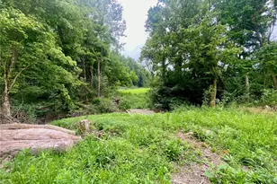12 Ac Ward-Koebel Rd, Oregonia, OH 45054 - Photo 1