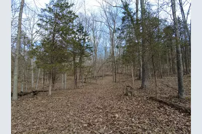 1897 Chestnut Ridge Road, West Union, OH 45693 - Photo 10