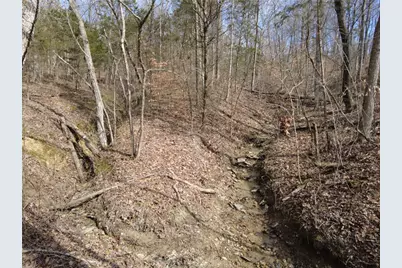 1897 Chestnut Ridge Road, West Union, OH 45693 - Photo 6