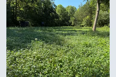 1897 Chestnut Ridge Road, West Union, OH 45693 - Photo 58