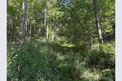359 Green Ridge Road, Peebles, OH 45660 - Photo 24
