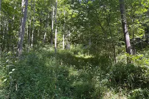 359 Green Ridge Rd, Peebles, OH 45660 - Photo 24