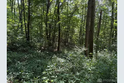 359 Green Ridge Road, Peebles, OH 45660 - Photo 28
