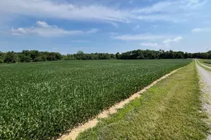 8576 Dillman Rd, Camden, OH 45311 - Photo 68