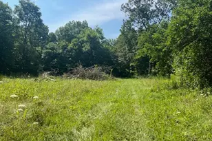 8576 Dillman Rd, Camden, OH 45311 - Photo 58