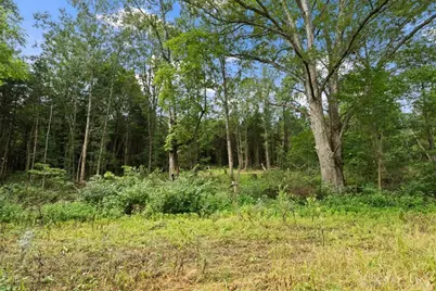 8525 Dunham Road, Hillsboro, OH 45133 - Photo 30
