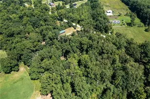 857 Settlemyre Rd, Oregonia, OH 45054 - Photo 52
