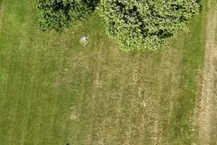 9836 Washington Church Rd, Washington Twp, OH 45342 - Photo 2