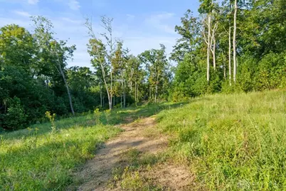 113 Ac Waggoner Riffle Road, West Union, OH 45693 - Photo 6