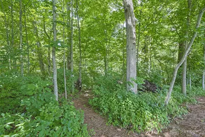 4763 Logsdons Meadow Drive, Liberty Township, OH 45011 - Photo 34