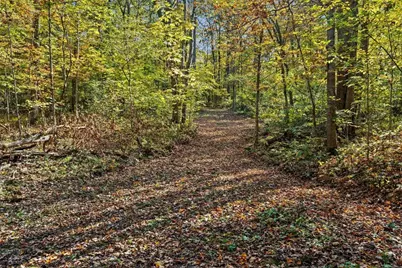 4776 Brier Ridge Road, West Union, OH 45693 - Photo 22