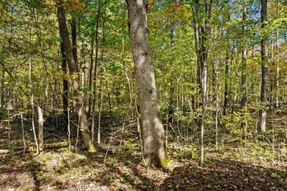 4776 Brier Ridge Road, West Union, OH 45693 - Photo 32