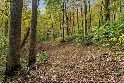 4776 Brier Ridge Road, West Union, OH 45693 - Photo 24