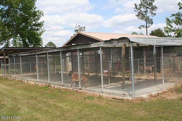 3252 Triple Ln, Caryville FL  32425-6406 exterior