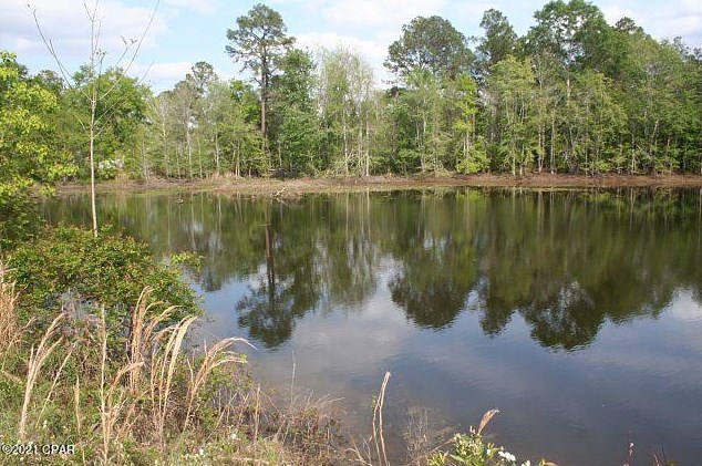 3252 Triple Ln, Caryville FL  32425-6406 exterior