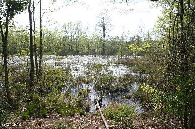 3252 Triple Ln, Caryville FL  32425-6406 exterior