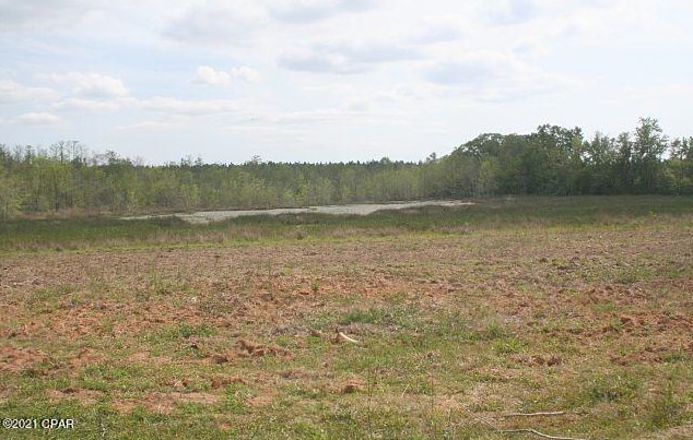 3252 Triple Ln, Caryville FL  32425-6406 exterior