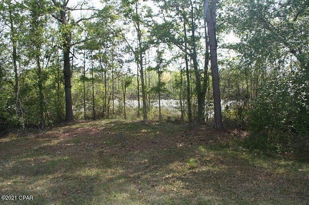 3252 Triple Ln, Caryville FL  32425-6406 exterior