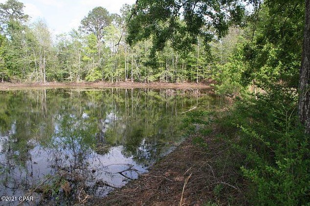 3252 Triple Ln, Caryville FL  32425-6406 exterior