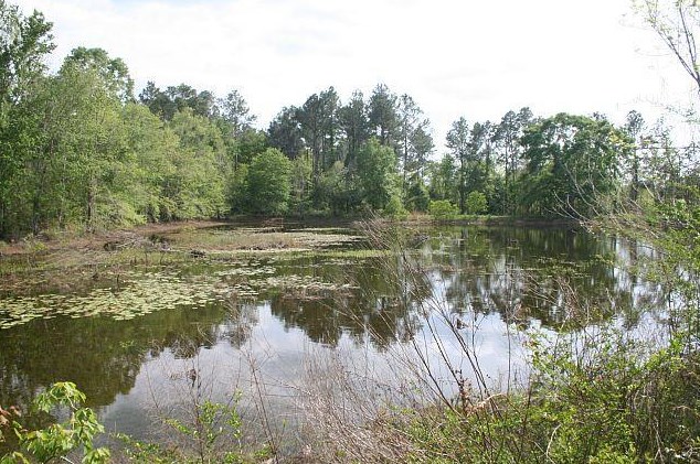 3252 Triple Ln, Caryville FL  32425-6406 exterior