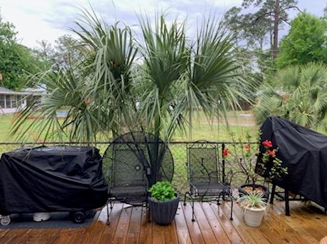 9013 Banyan Beach Dr, Panama City FL  32408-4319 exterior