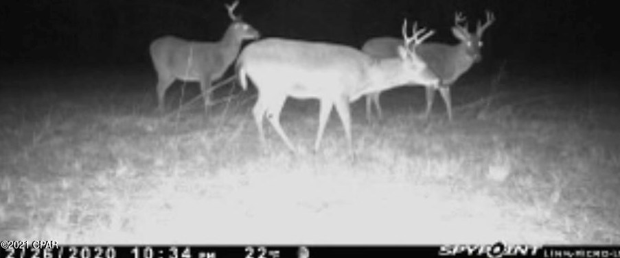 1780 Steverson Rd, Caryville FL  32425-5604 exterior