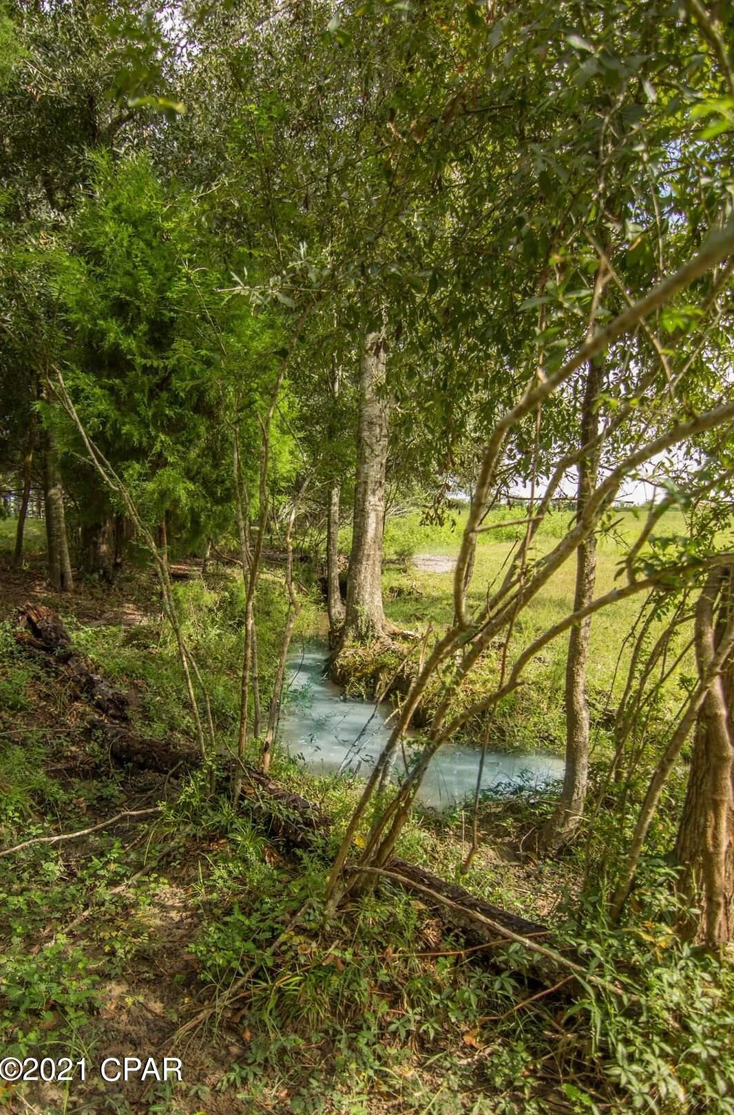 4084 Hwy 77, Graceville, FL 32440