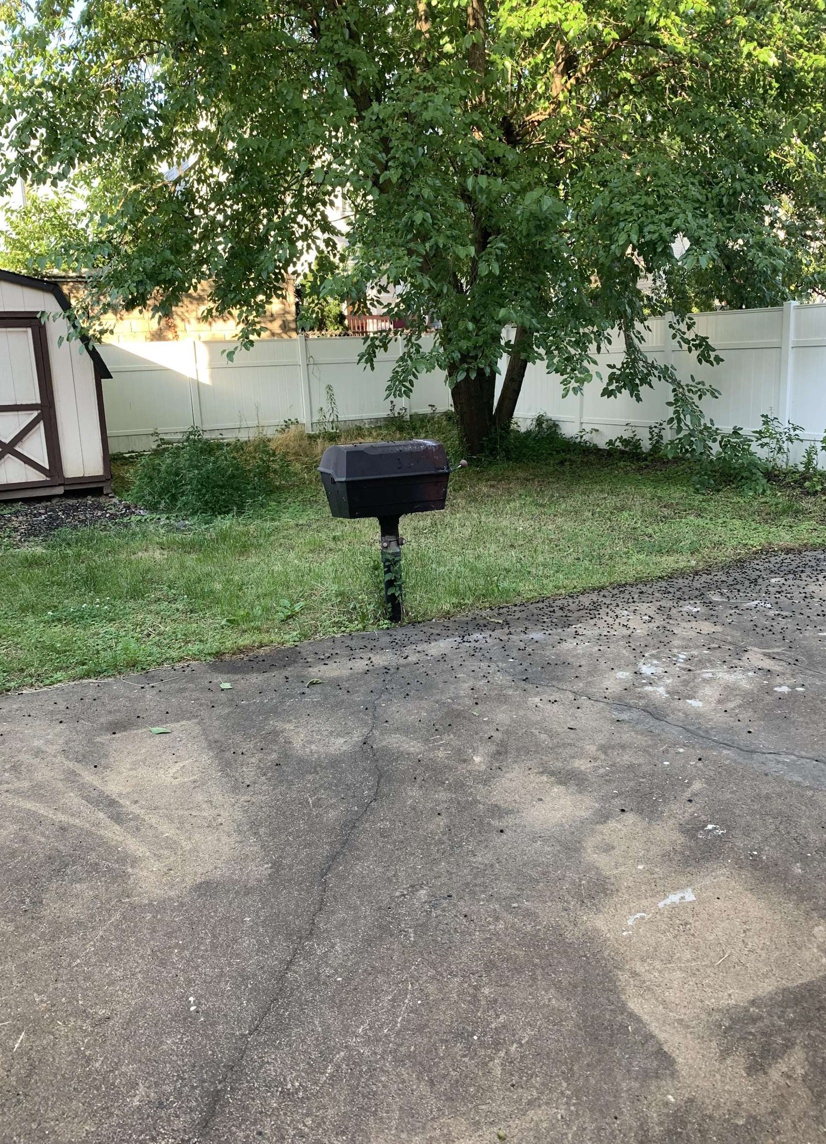 216 Custer Ave, Jersey City NJ 07305-1705 exterior