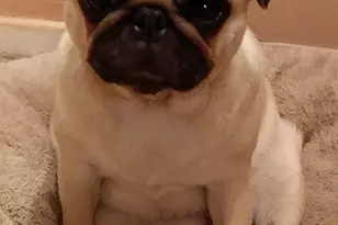7000 Blvd E, Guttenberg, NJ 07093 - Photo 36