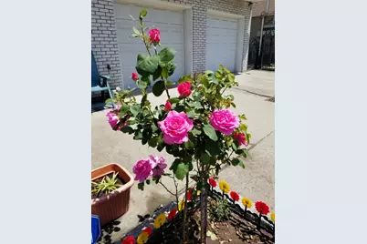 4-10 St Francis St, Newark, NJ 07105 - Photo 18