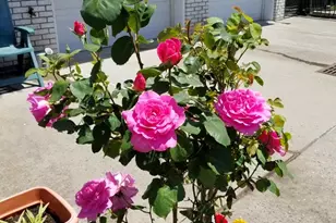 4-10 St Francis St, Newark, NJ 07105 - Photo 18