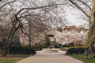 299 Pavonia Ave, Jersey City, NJ 07302 - Photo 34