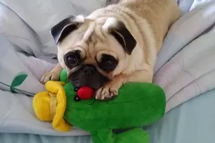 7002 Blvd E, Guttenberg, NJ 07093 - Photo 42