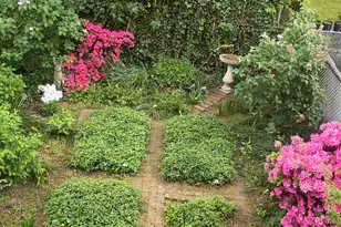 15 Towers St, Jersey City, NJ 07035 - Photo 44