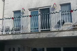 318 Linden Ave, Jersey City, NJ 07305 - Photo 18